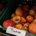 Äpfel der Sorte „Pinova“ in einem Korb